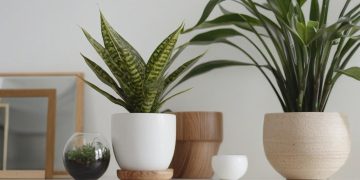 The Minimalist Mindset: Efficient Living Through Intentional Organization